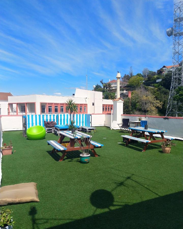 Crashpalace Backpackers Нейпиър Екстериор снимка
